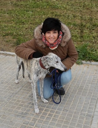 DAR UN PASEO CON TU PERRO